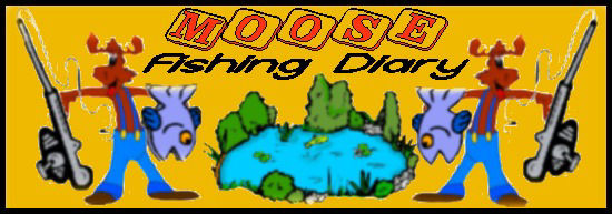 Moose Banner