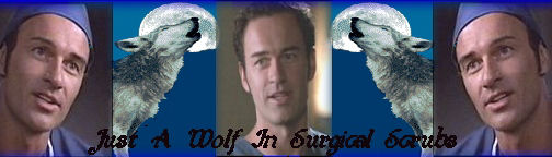 Scrubs Banner